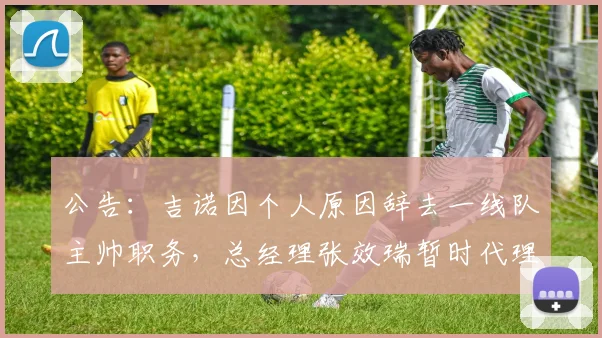 公告：吉诺因个人原因辞去一线队主帅职务，总经理张效瑞暂时代理